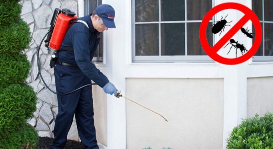 Yalova Gümüşkurt İlaçlama böcek ilaçlama ve haşere kontrolü — ilaclama-tr.com